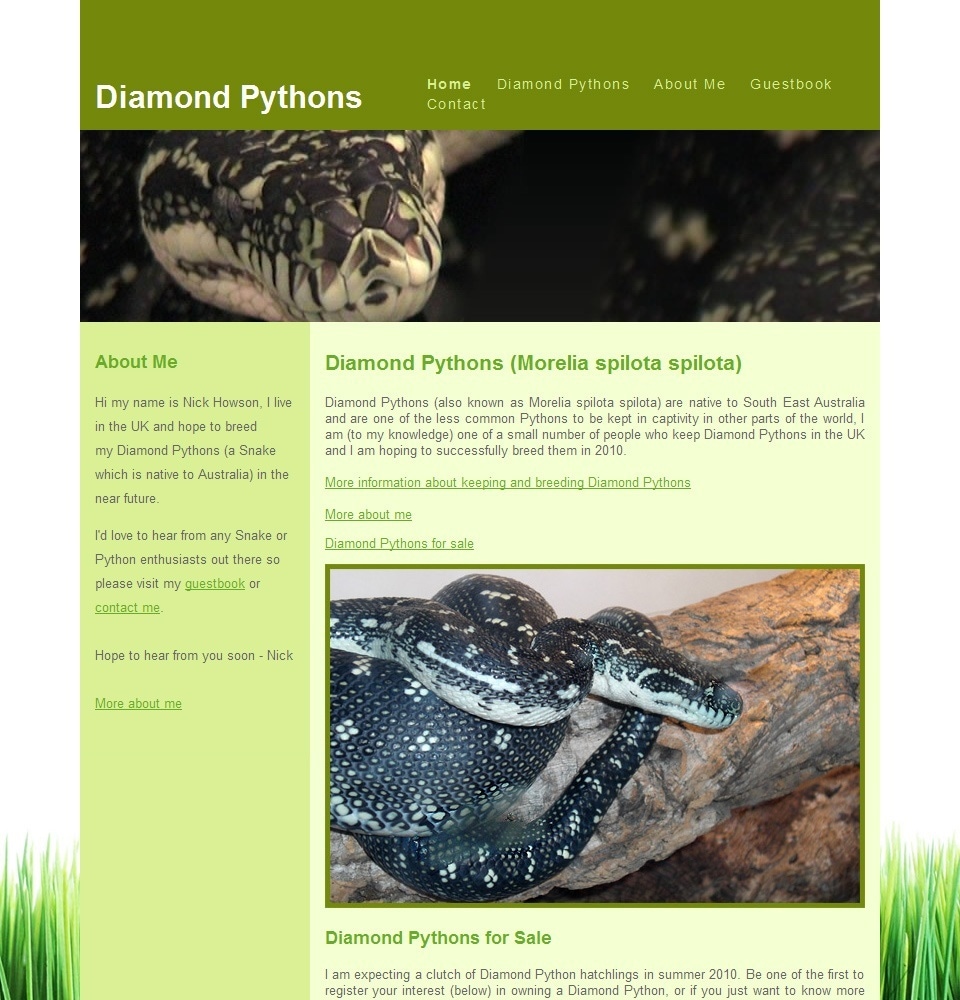 Diamond Pythons