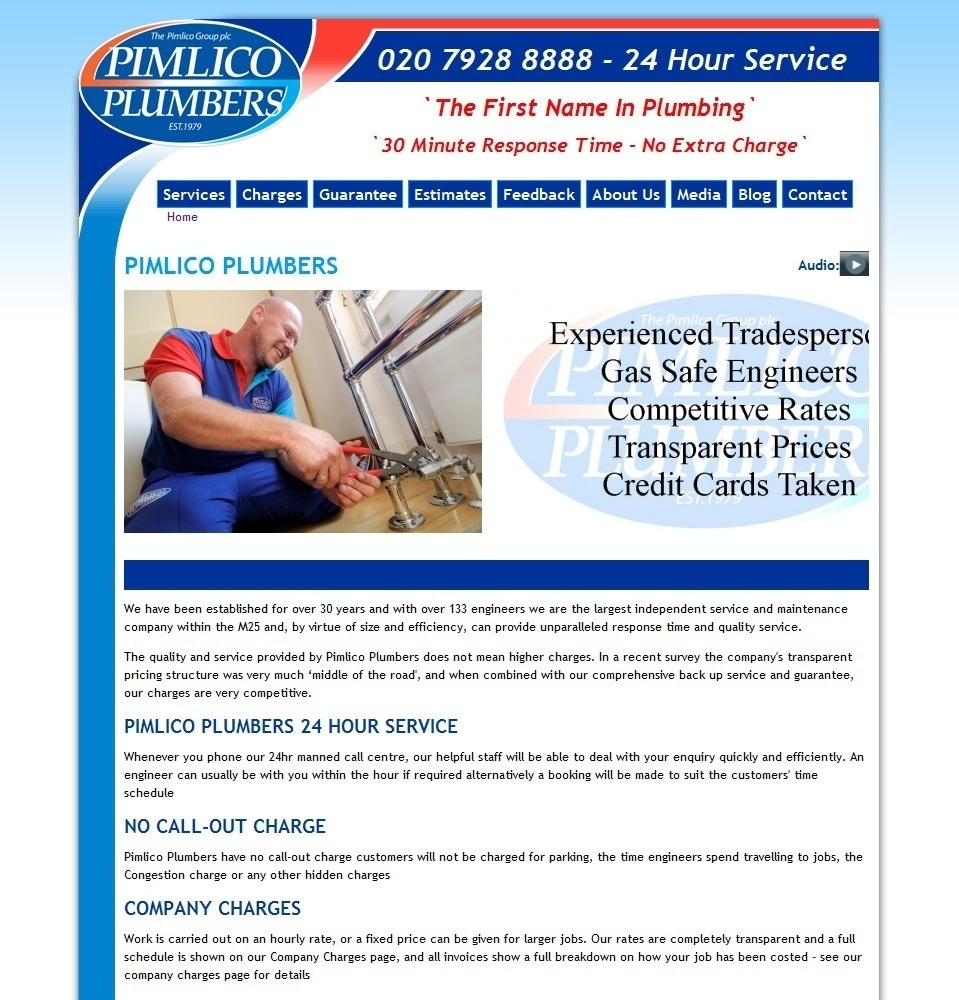 Pimlico Plumbers